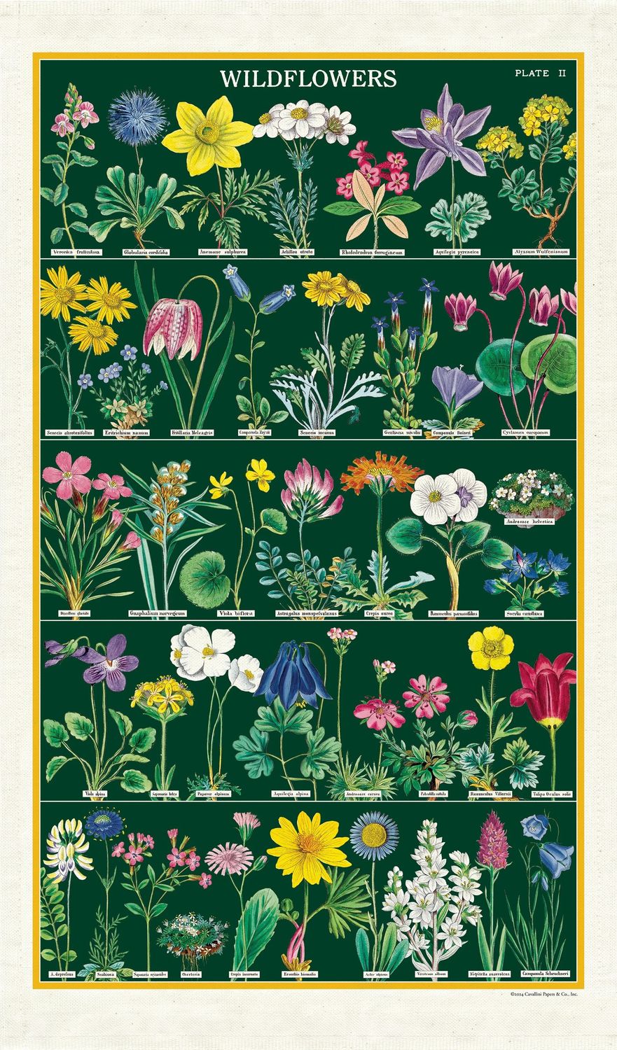 Vintage Tea Towel