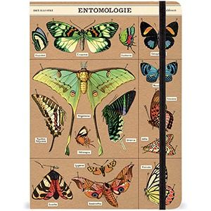 Large Notebook