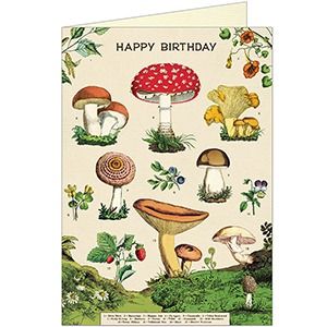 Birthday Card
