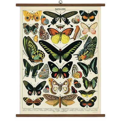 Cavallini Vintage  Scroll