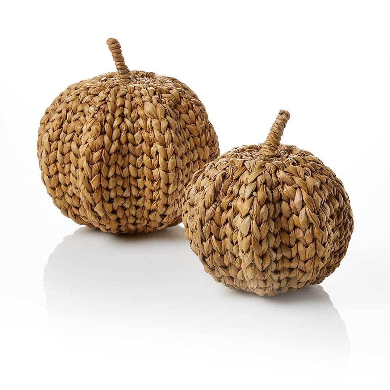 Hogla Pumpkin