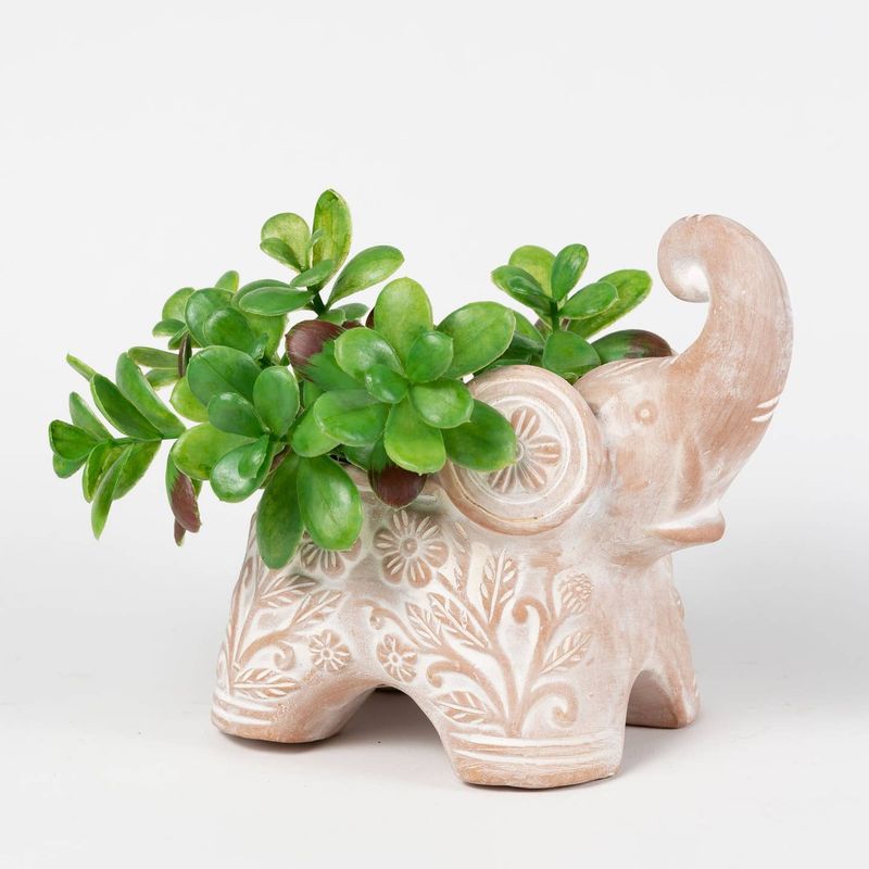 Terracotta Planter