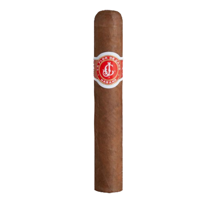 FLOR DE CANO Cigar Elegido