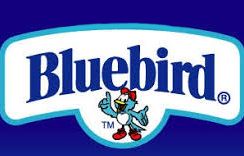 Bluebird Orange Pineapple • 34cl Can