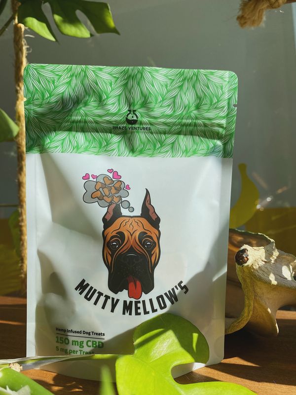 CBD Pet Treats