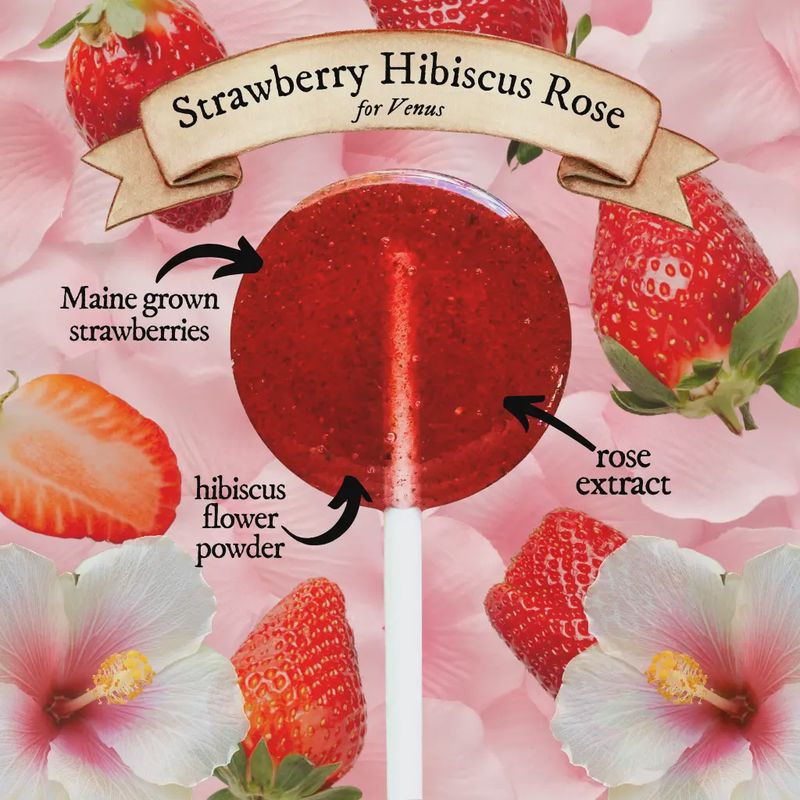 Plants &amp; Planets Lollipop