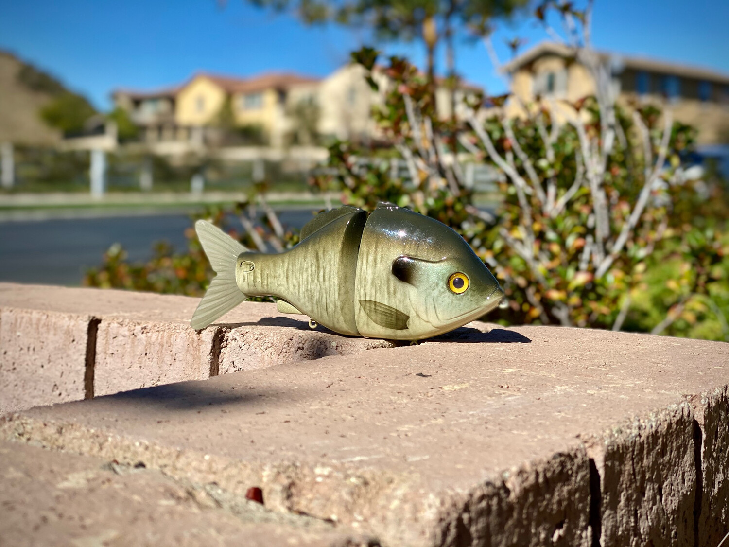 BeastMode Bluegill Glide (Confidential)