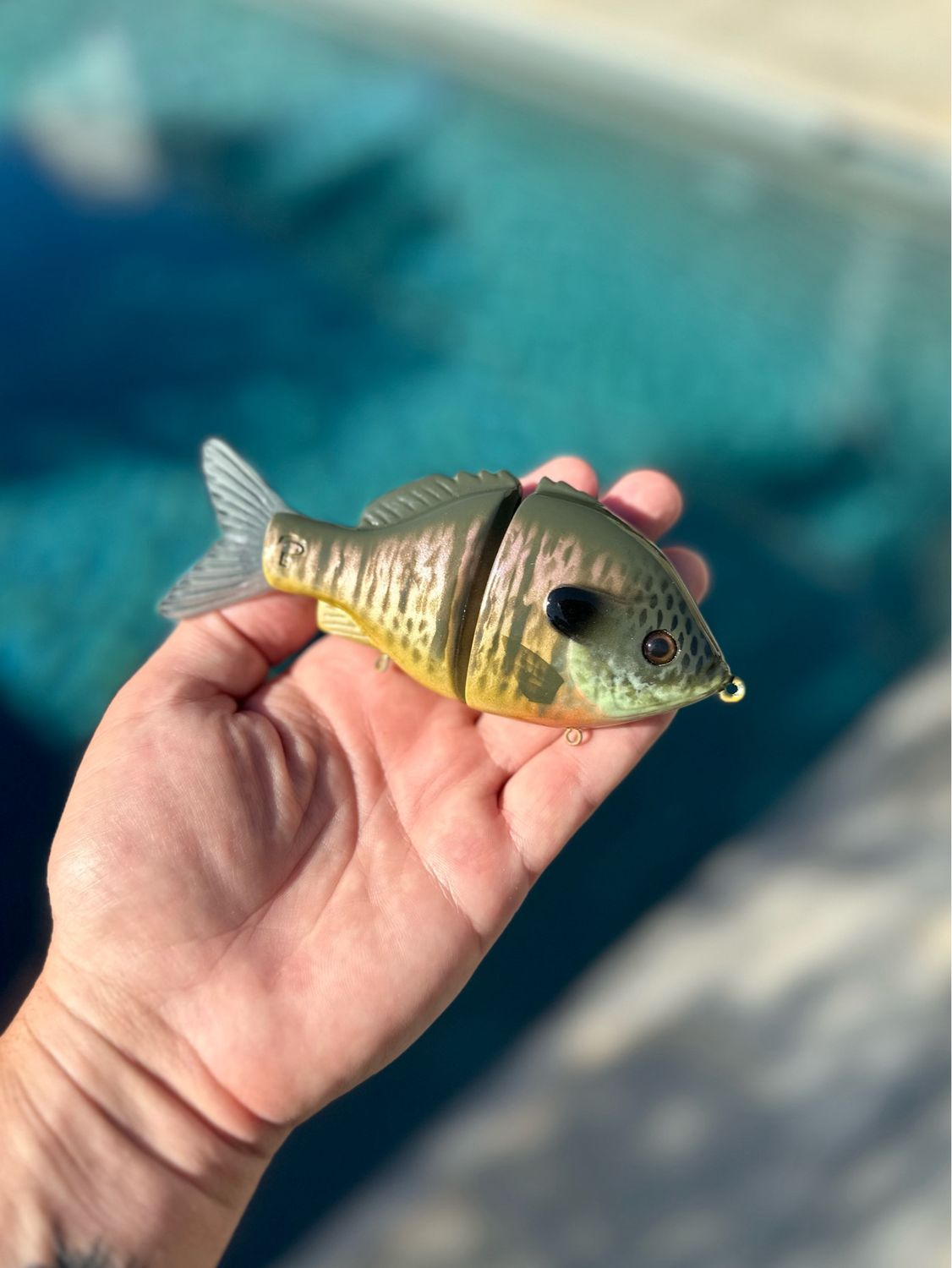Runt II Bluegill (Confidential)
