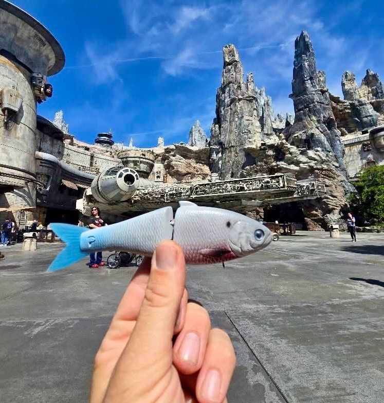 May the Hype Destroy You 2026 - Limited Edition Baits - PREORDER ( ONLY 1 )
