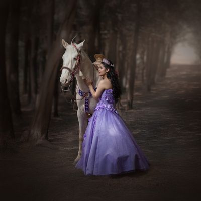 Servicio Digital (contrato)