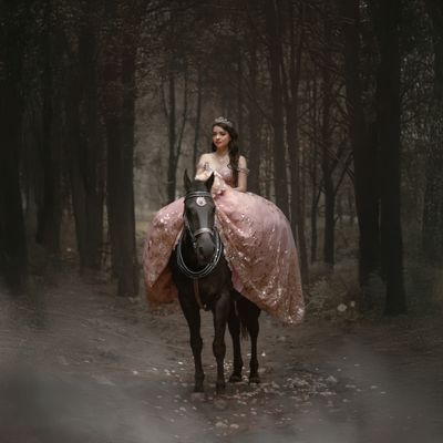 Servicio Completo (Contrato)