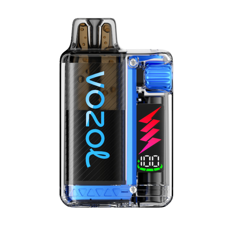 VOZOL – Vista Plug 10000 – Blueberry Ice