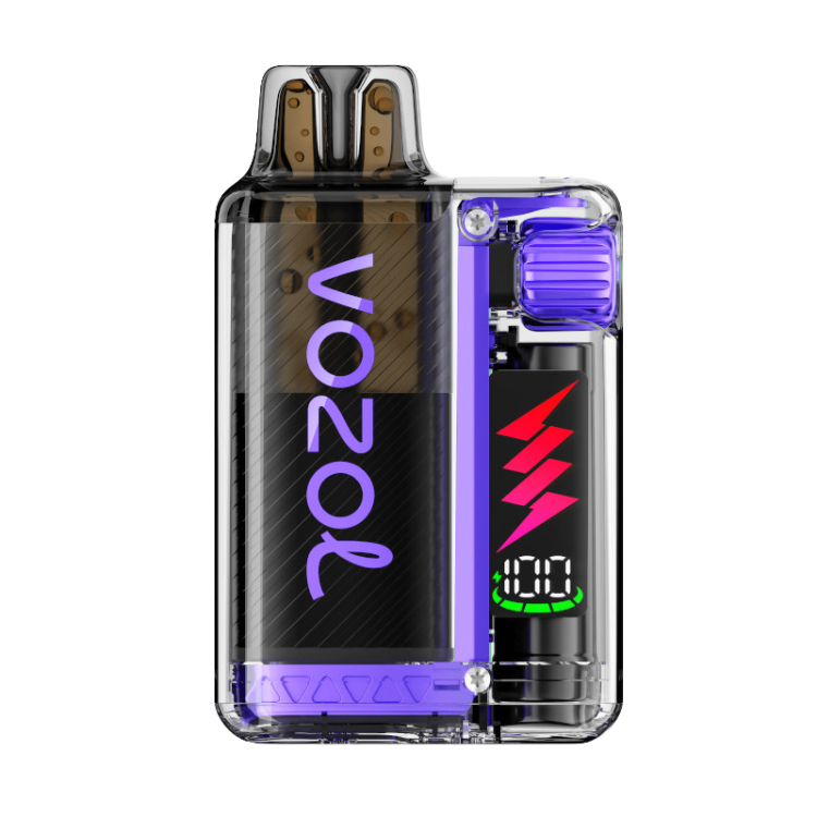VOZOL – Vista Plug 10000 – Grape Ice