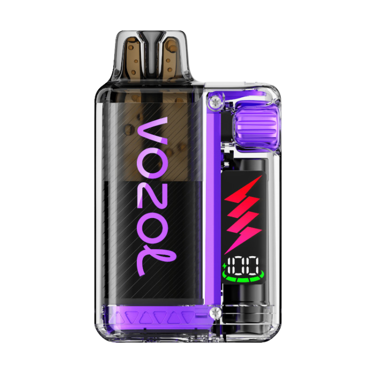 ​VOZOL – Vista Plug 10000 – Blueberry Raspberry Lemon