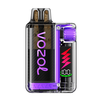​VOZOL – Vista Plug 10000 – Blueberry Raspberry Lemon
