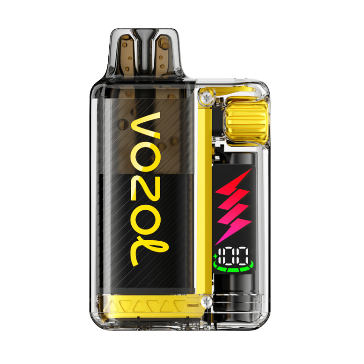 VOZOL – Vista Plug 10000 – Mango Ice