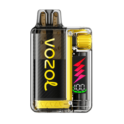 VOZOL – Vista Plug 10000 – Mango Ice