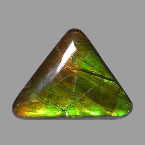 14.54ct Natural Multicolor Ammolite, Trillion, Opaque
