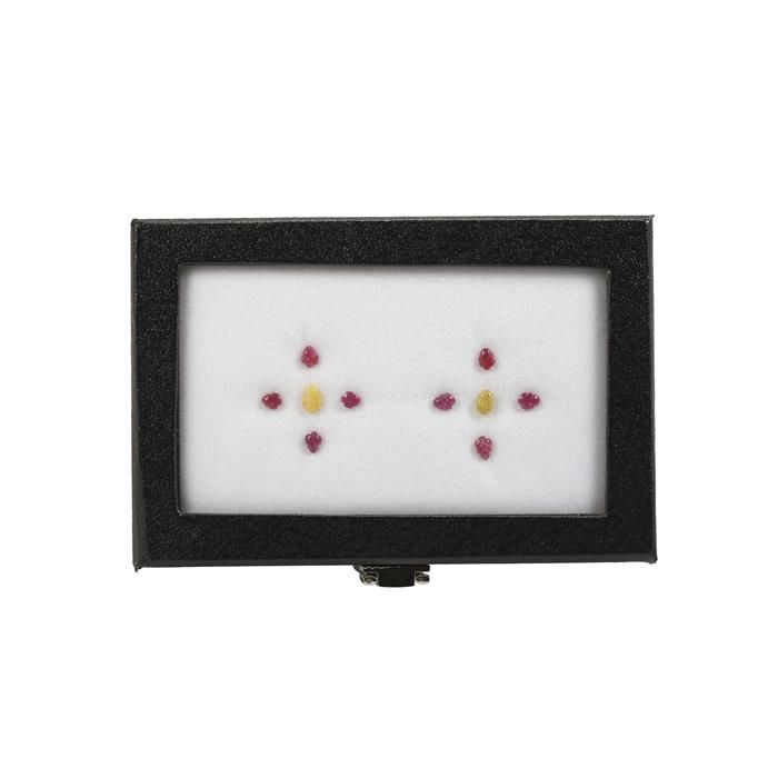 Ruby &amp; Sapphire Leaf Gem Box 6.80ct (N)