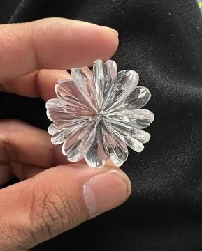 Flowers &amp; Leaves