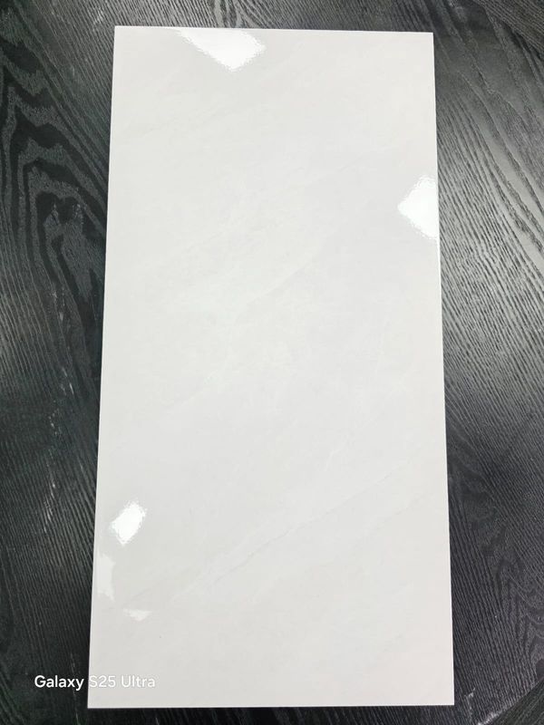 B3650