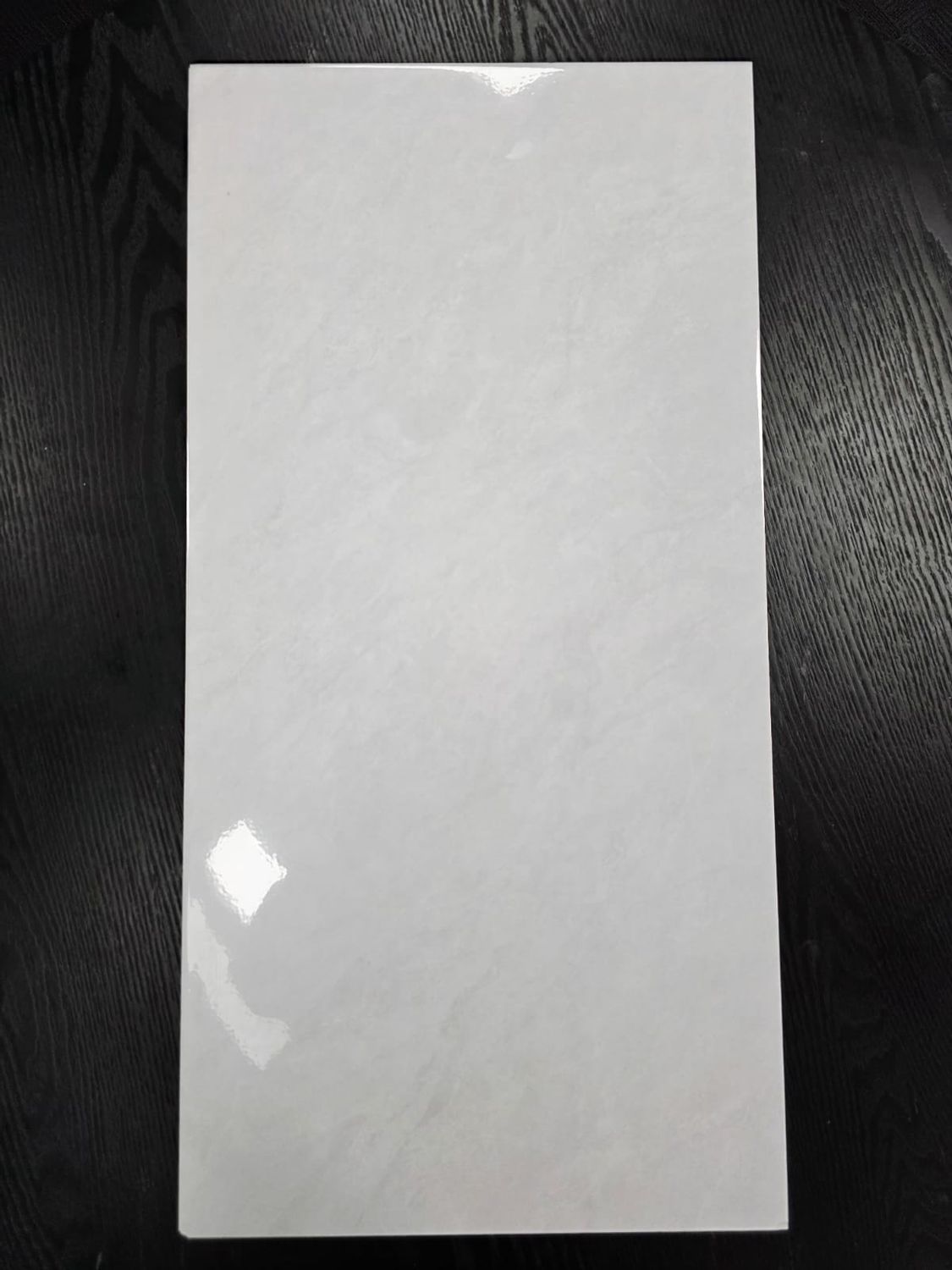 B3647