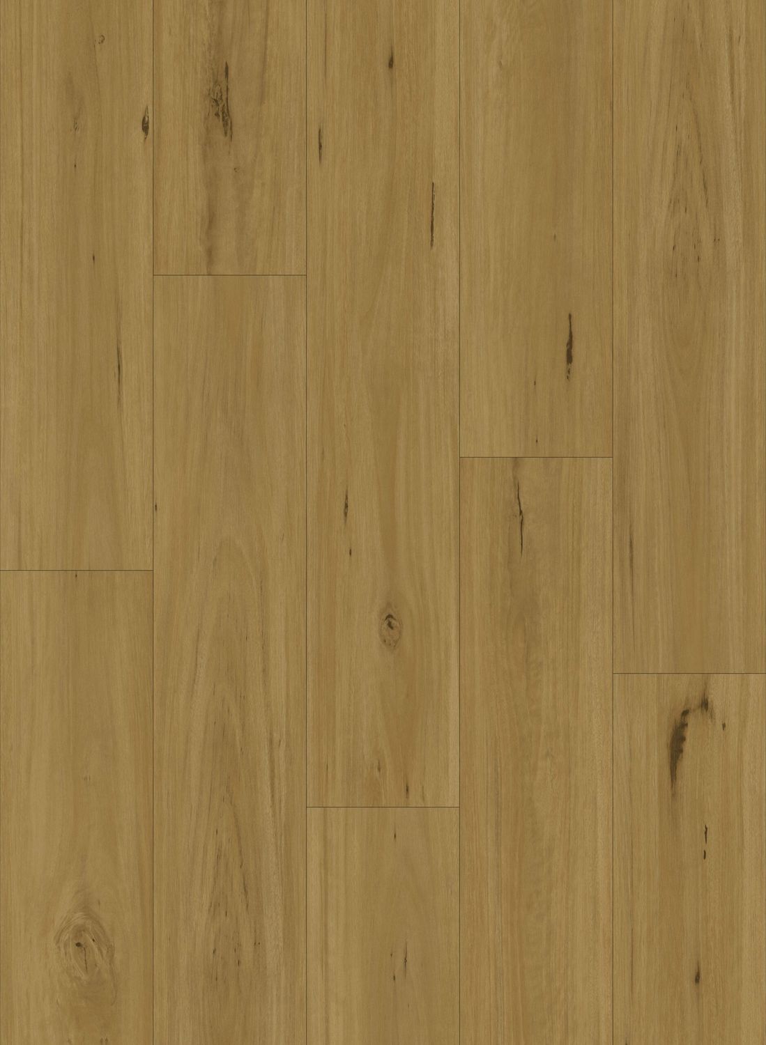 BLACKBUTT
