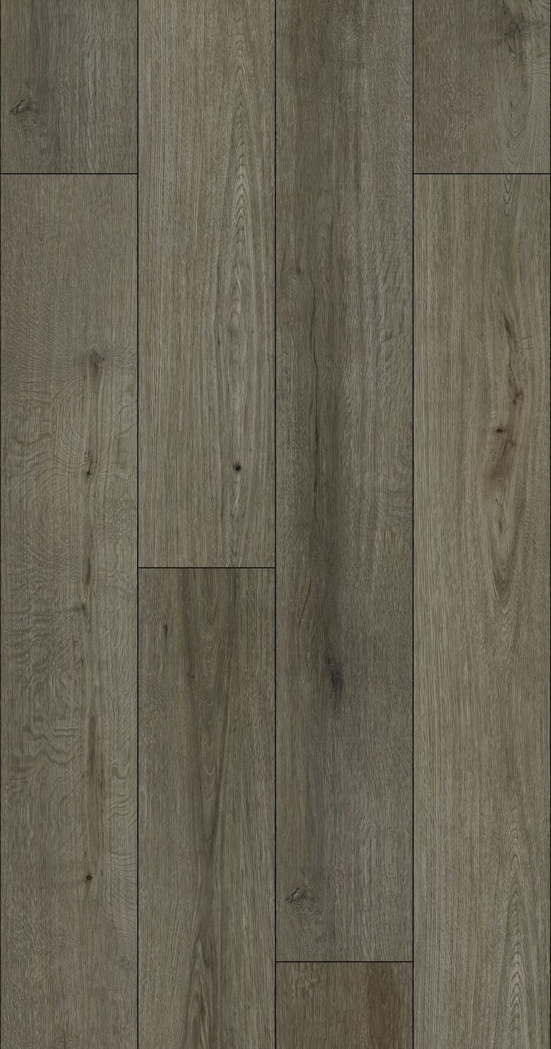 SICILY OAK