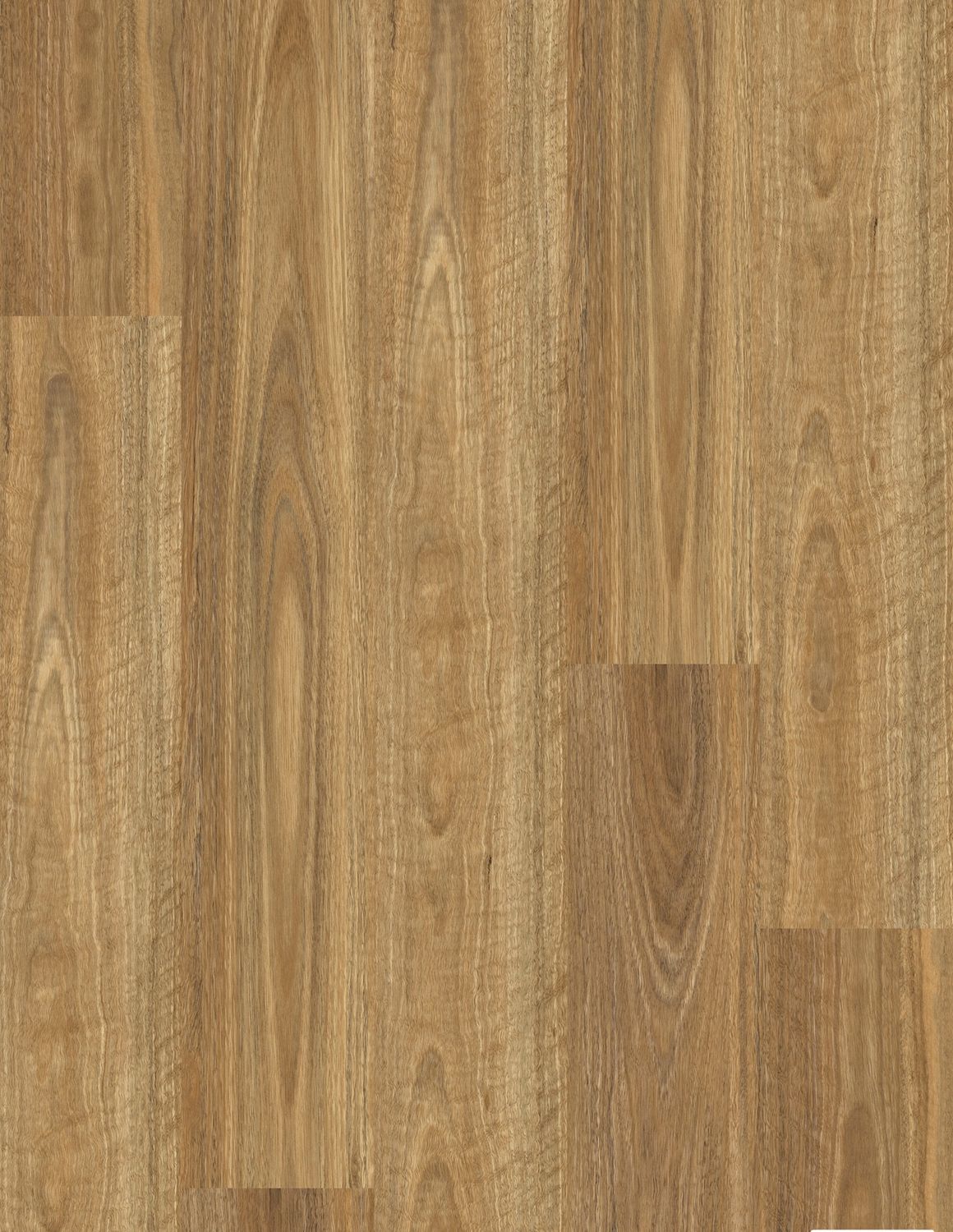 SPOTTED GUM