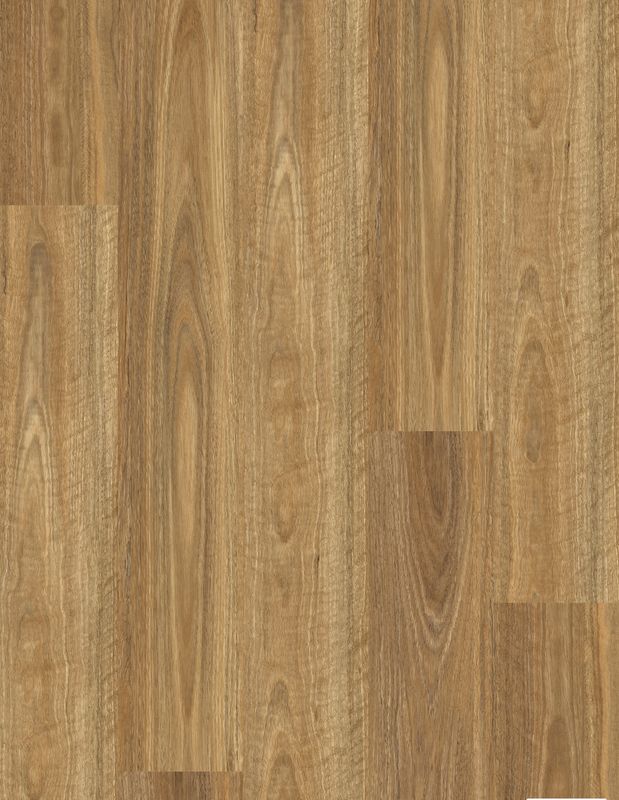SPOTTED GUM