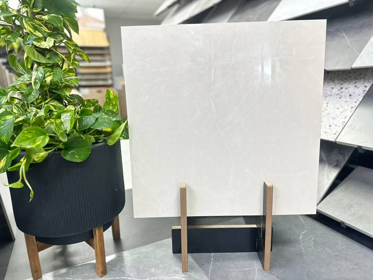 Beige  gloss Porcelain Tile 800x800