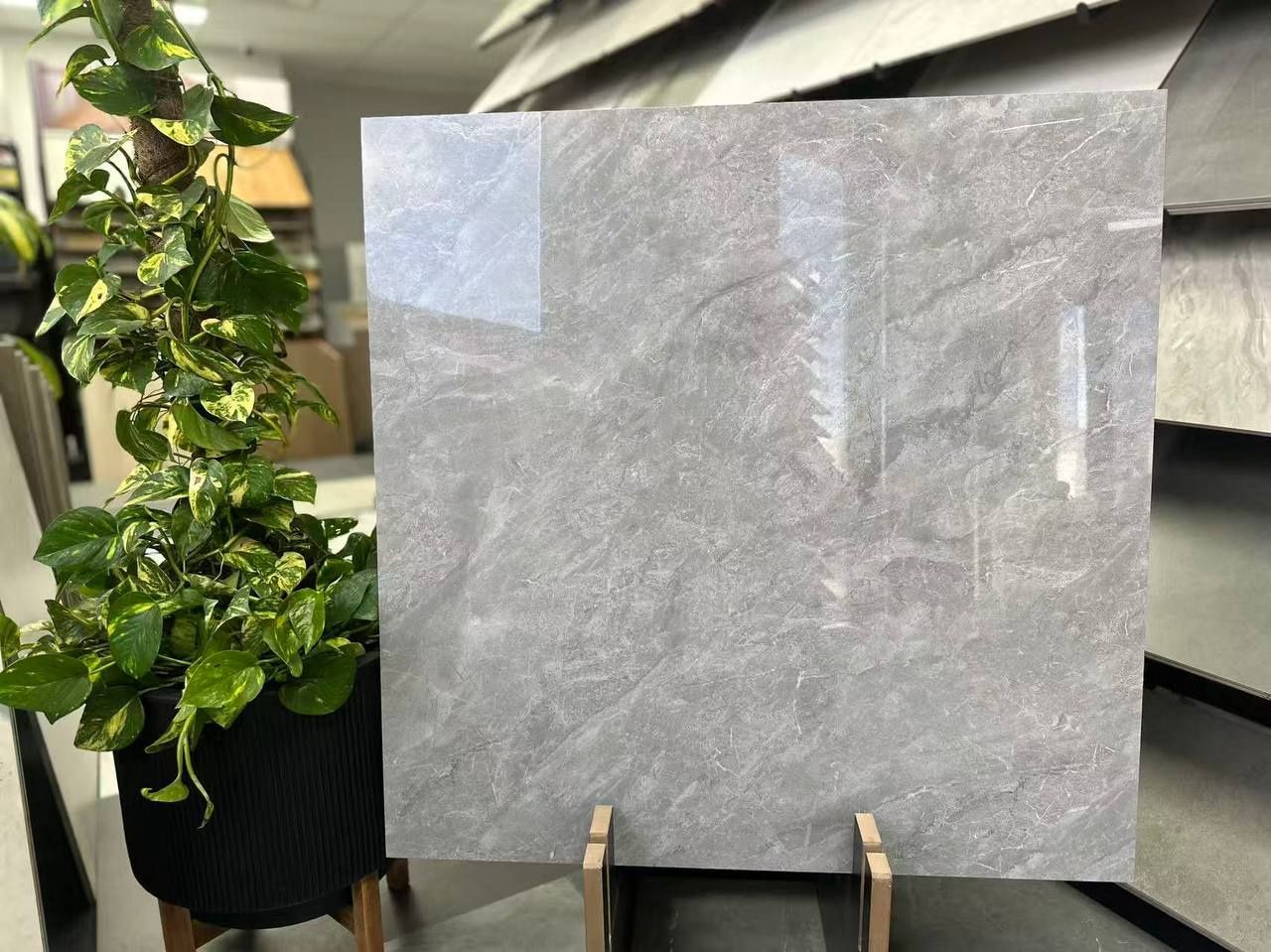 Light Grey Gloss Porcelain Tile 800x800