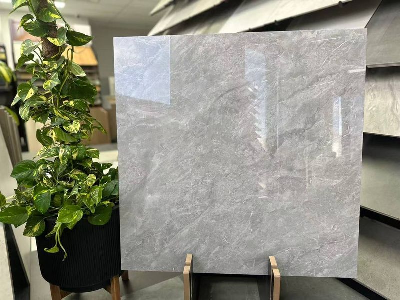 Light Grey Gloss Porcelain Tile 800x800