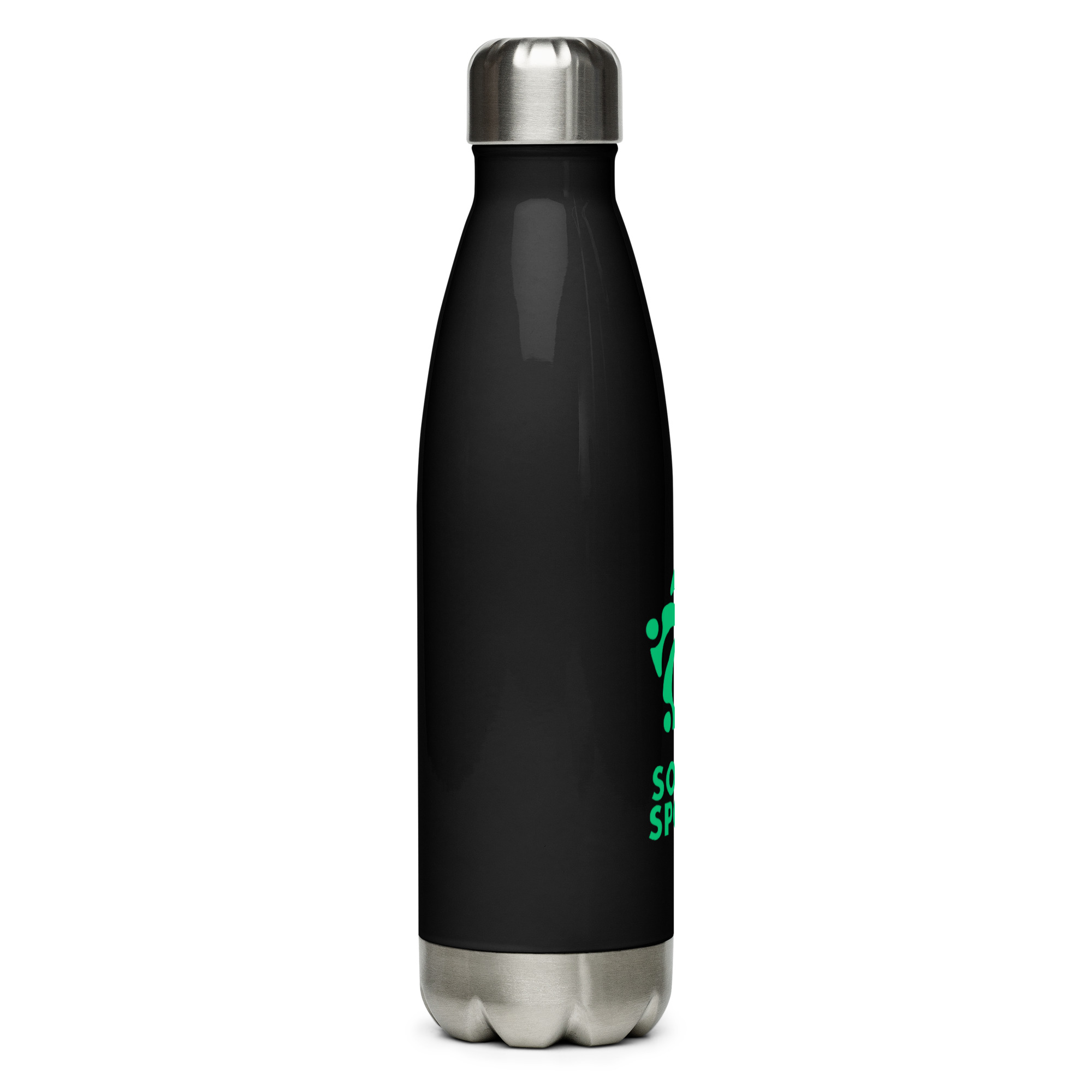 Stainless steel water bottle