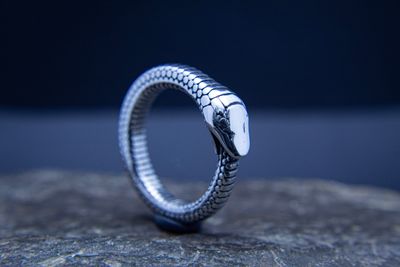 Serpiente