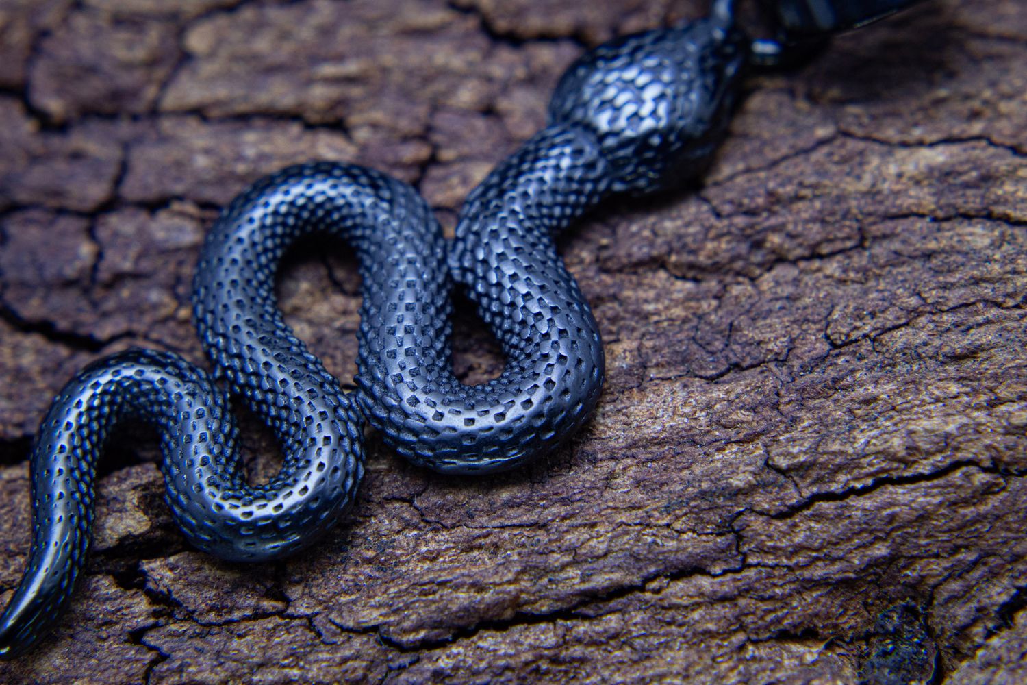 Serpiente zen