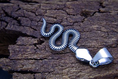 Serpiente zen
