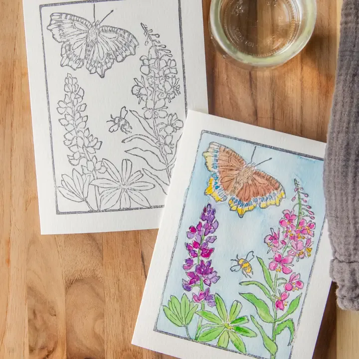 Cloak Butterfly Watercolor Kit