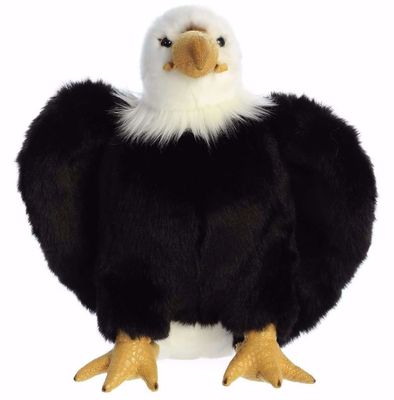 Plush - AW Regal Eagle 10.5"