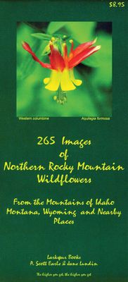 265 Images of Northern Rocky Mountain Wildflowers