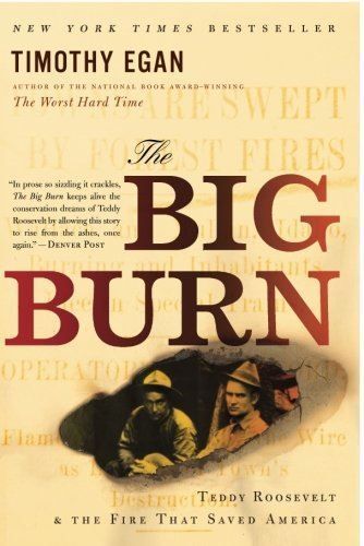 Big Burn: Teddy Roosevelt and 1910 Fire