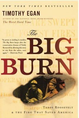 Big Burn: Teddy Roosevelt and 1910 Fire