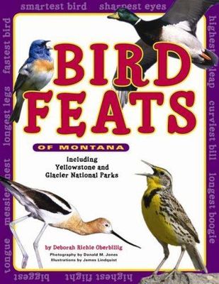 Bird Feats of Montana