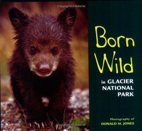 Born Wild in Glacier