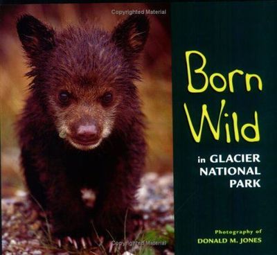 Born Wild in Glacier