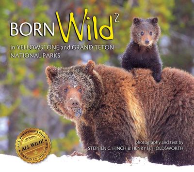 Born Wild in Yellowstone&amp; Grand Teton National Parks
