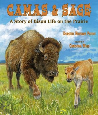 Camas &amp; Sage: A Story of Bison Life on the Prairie