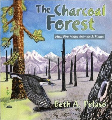 The Charcoal Forest: How Fire Helps Animals and Plants