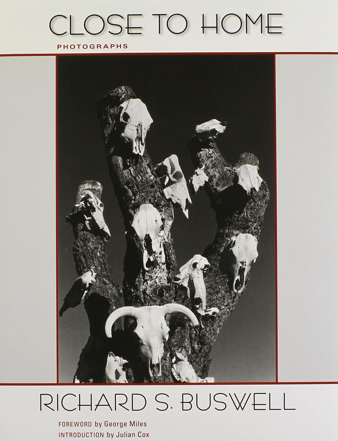 Close to Home: Photographs