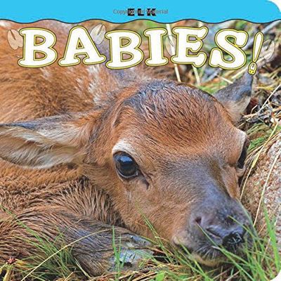 Elk Babies